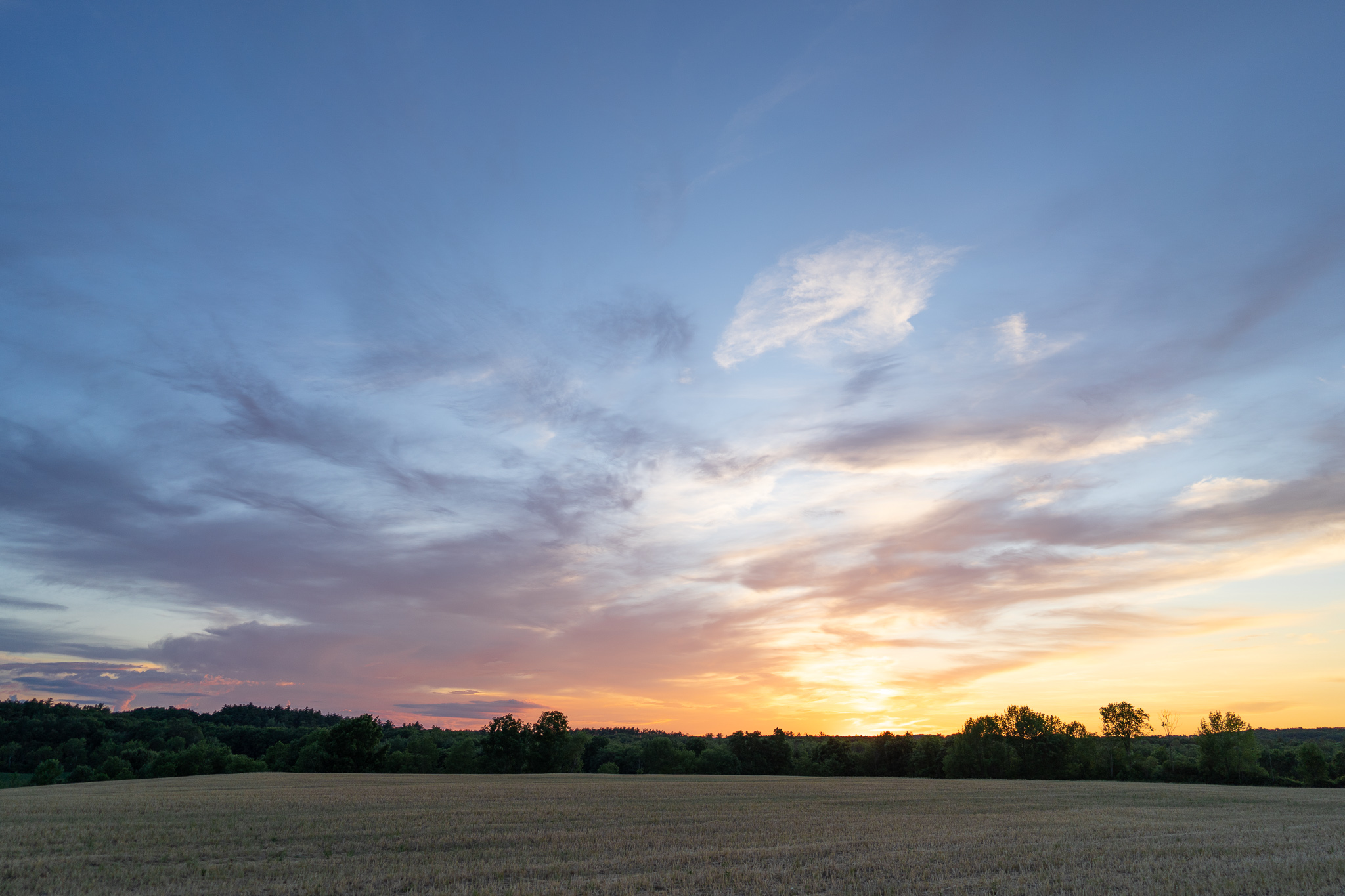 sunset over field